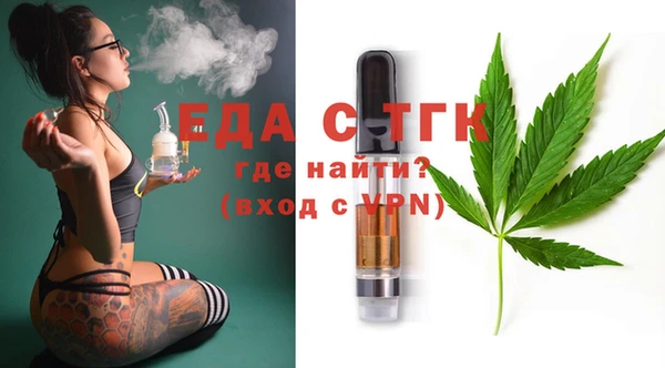 индика Няндома
