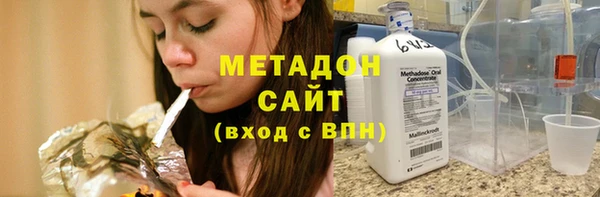 индика Няндома