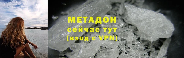 индика Няндома