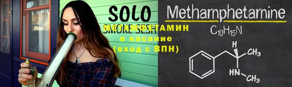 индика Няндома