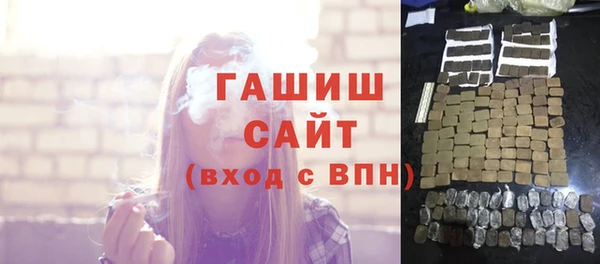 индика Няндома