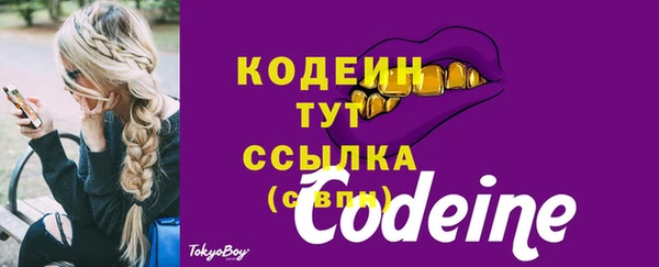 шишки Нягань