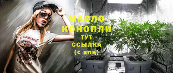 индика Няндома