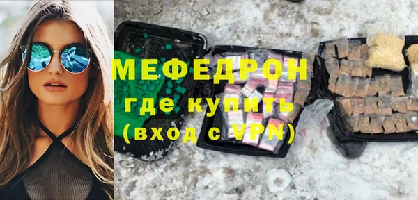 индика Няндома