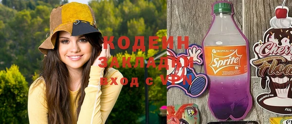 индика Няндома