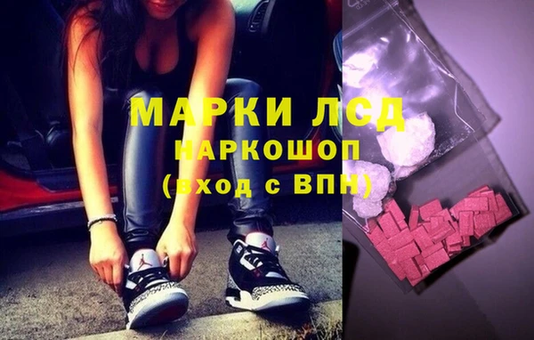 индика Няндома