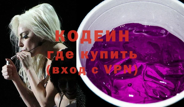 индика Няндома