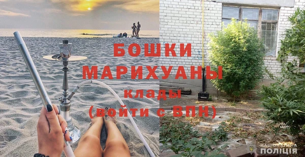 индика Няндома