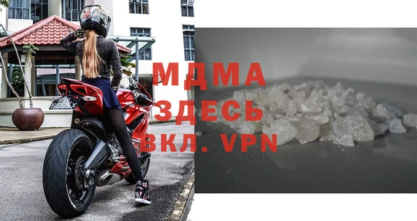 индика Няндома