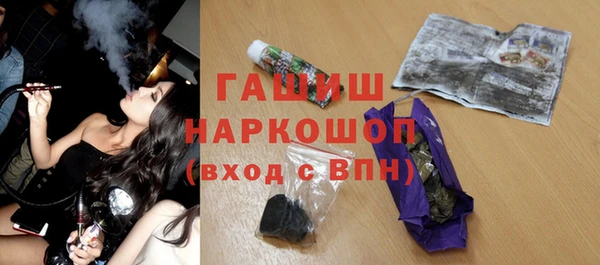индика Няндома