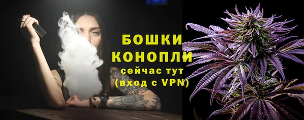шишки Нягань